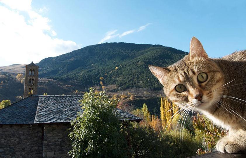 Casa Independiente Rural Ca De Corral Estación Εξωτερικό φωτογραφία